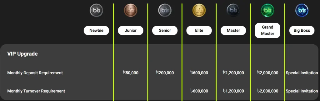 What are the Bigtaka VIP levels and deposit requirements